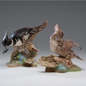 Boehm Hooded Merganser America