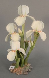 BOEHM "IRIS, SILVER SHOWER" PO