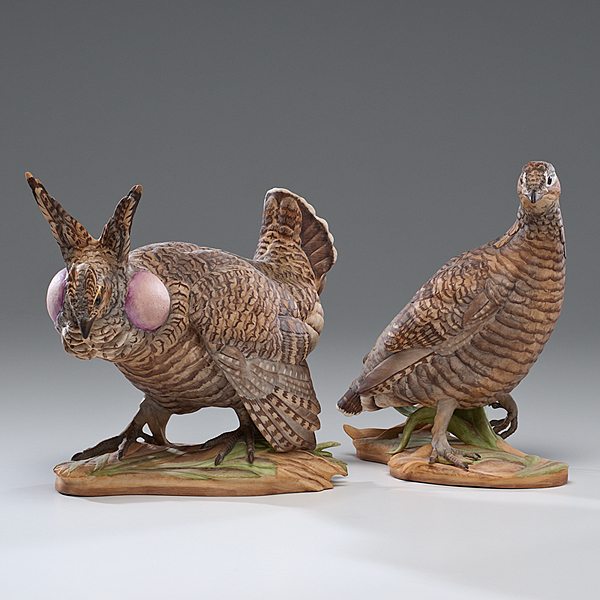 Boehm Lesser Prairie Chickens