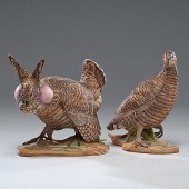 Boehm Lesser Prairie Chickens