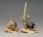 Boehm Mean&#39;s quails: male