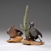 Boehm Mearnes Quails American.