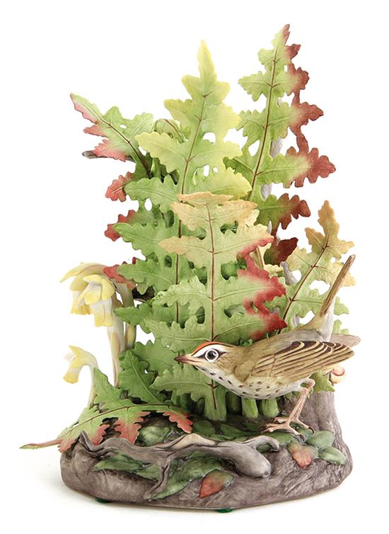 Boehm Ovenbird marked on