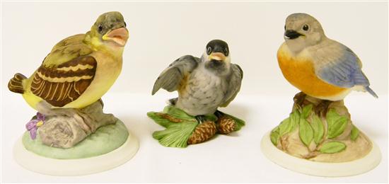 Boehm porcelain birds: Baby Blue