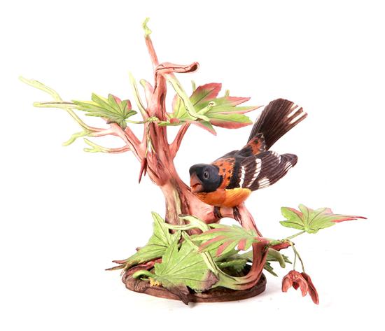 Boehm porcelain Black-Headed