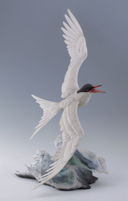 BOEHM PORCELAIN FORSTER'S TERN ON
