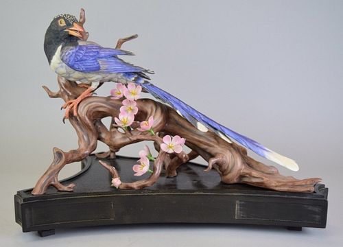 BOEHM RED BILLED BLUE MAGPIEBoehm