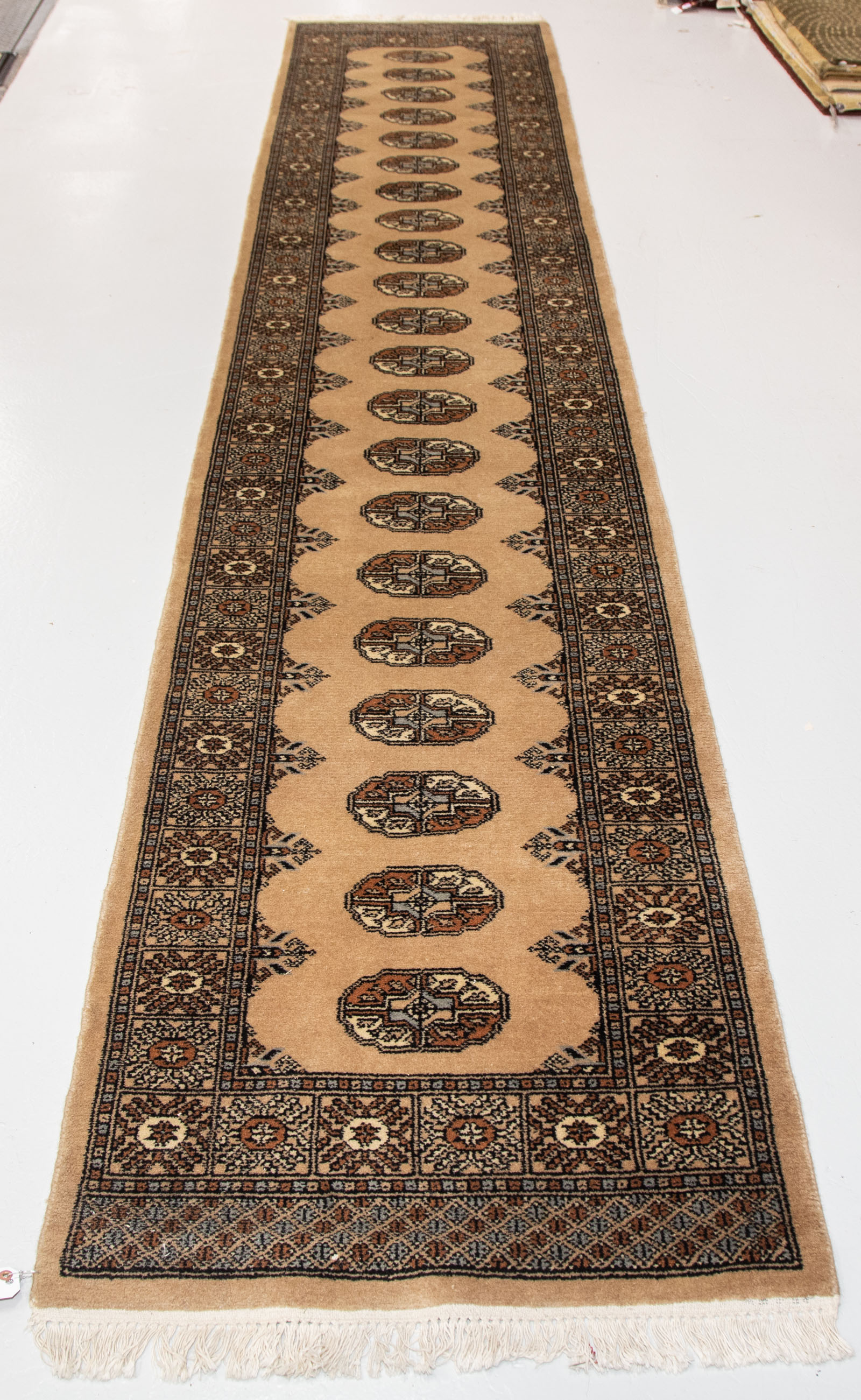 BOHKARA RUNNER, PAKISTAN, 2.9 X