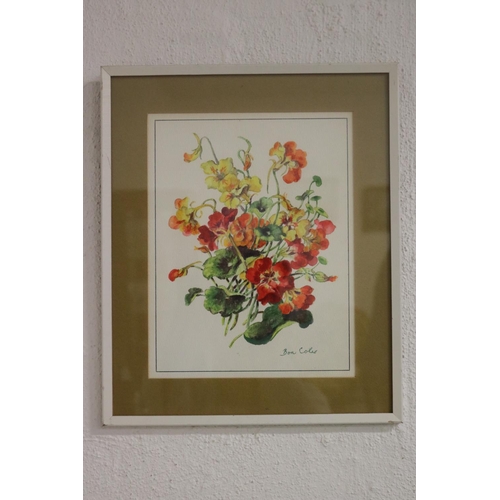 Bon Coles, watercolour, still life,