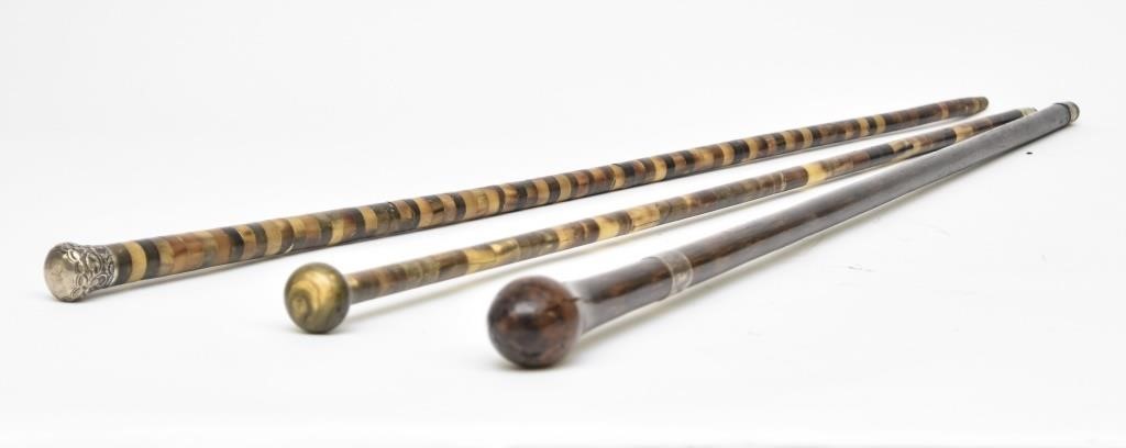 Bone walking stick with English