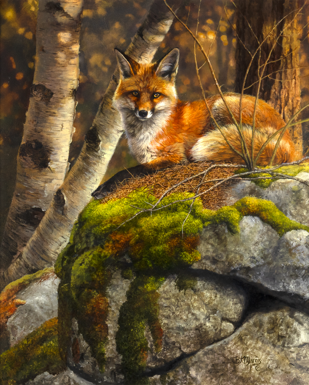 BONNIE MARRIS (1951- ), FOX ON