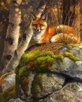 BONNIE MARRIS (1951- ), FOX ON