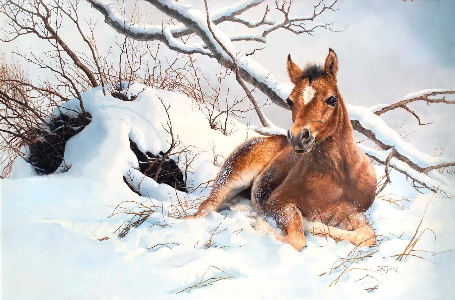 BONNIE MARRIS (1951- ), HORSE IN