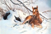 BONNIE MARRIS (1951- ), HORSE