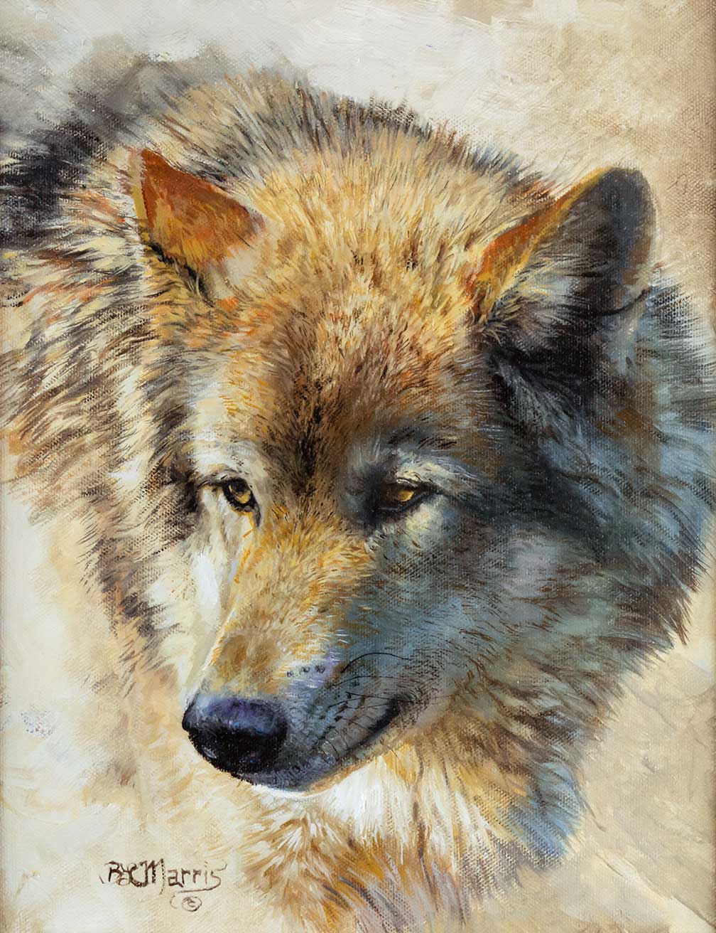 BONNIE MARRIS (1951- ),
