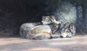 BONNIE MARRIS (1951- ), WOLVES