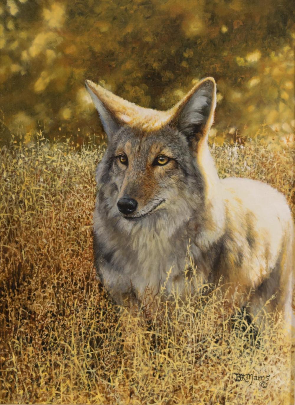 BONNIE MARRIS (MICHIGAN, BORN 1951)