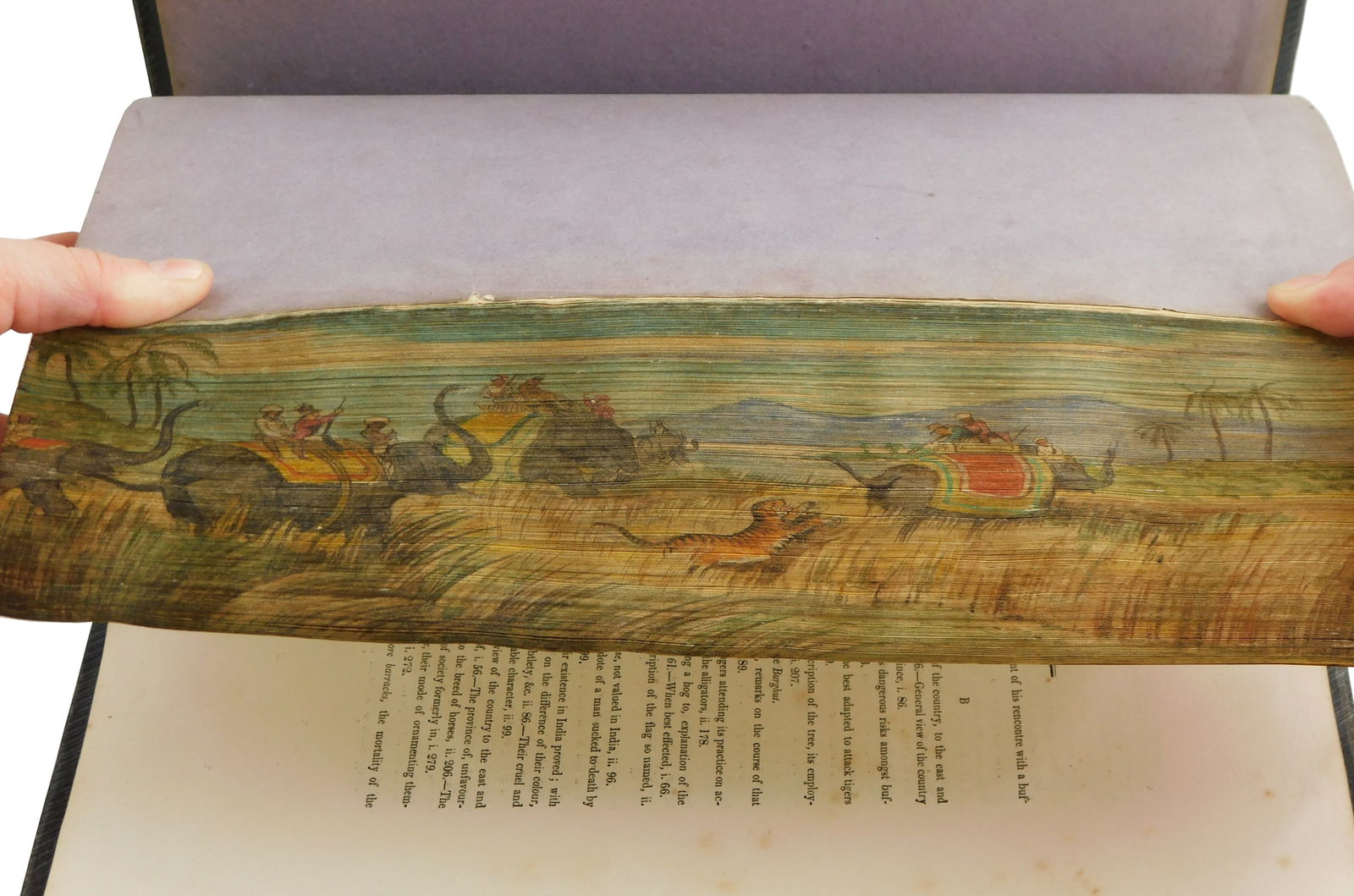 BOOK: FORE-EDGE PAINTINGS,