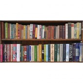 Books. Five shelves of general
