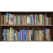 Books. Fourteen shelves of mis