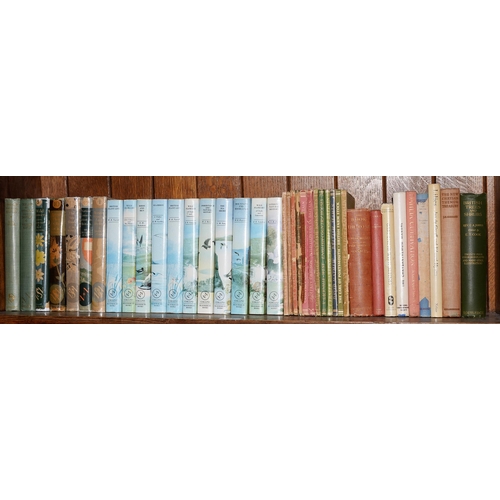 Books. Two shelves of natural