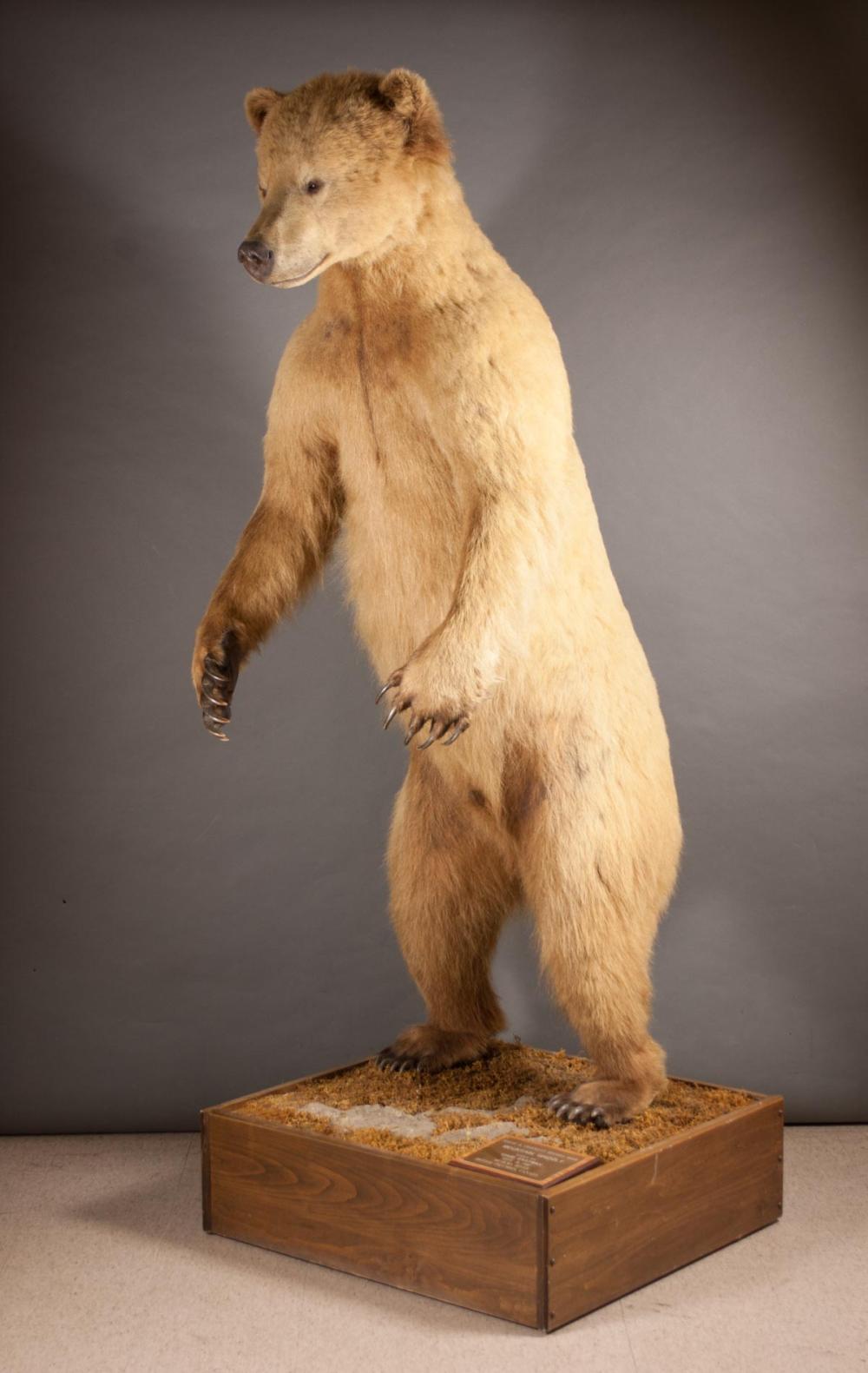 BOONE & CROCKET RECORD BOOK ALASKAN