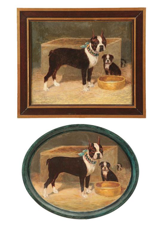 BOSTON TERRIER PAINTING AND