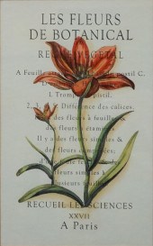 BOTANICAL COLOR PRINT REPRODUC