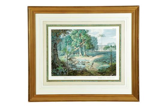 BOTANICAL PRINT FROM HISTORIA