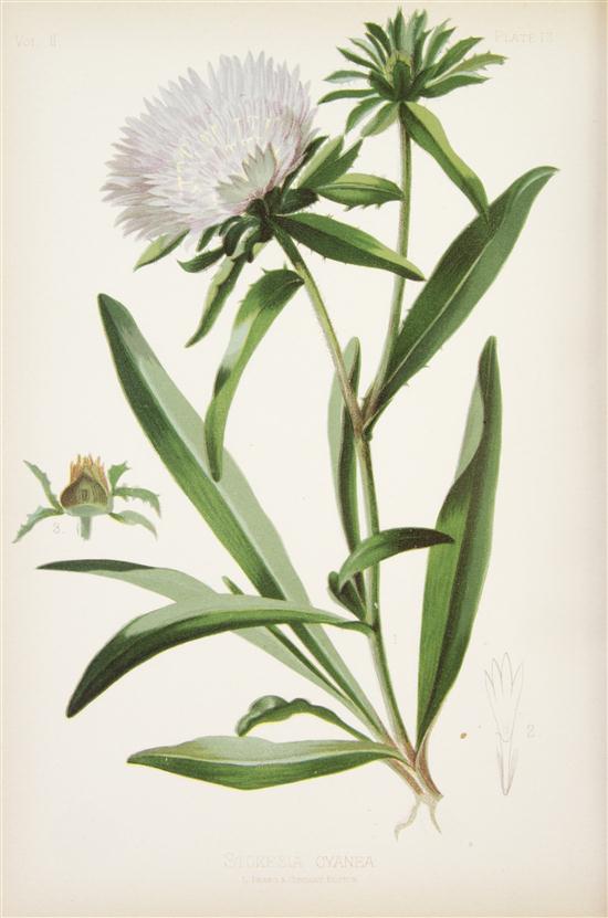 (BOTANY AMERICAN) MEEHAN THOMAS The