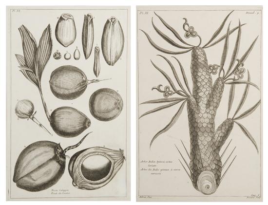 (BOTANY FRENCH) BUCHOZ PIERRE