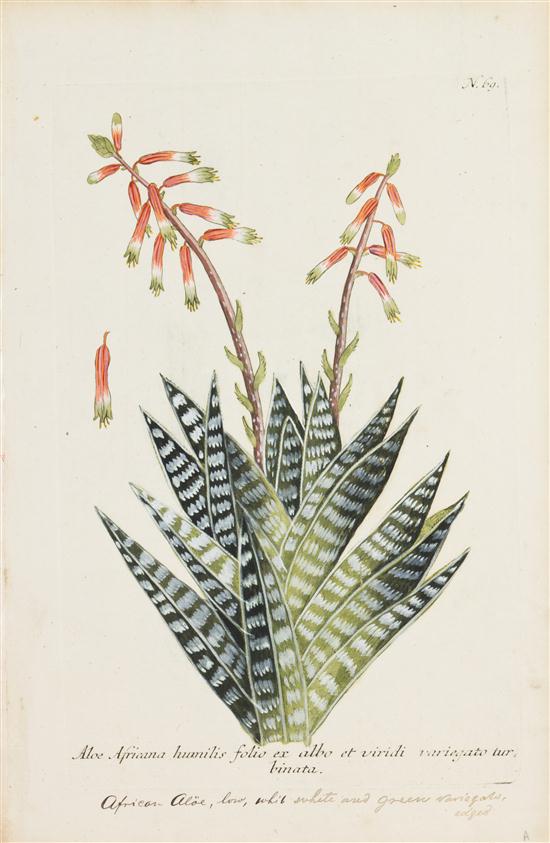 (BOTANY GERMAN) WEINMANN JOHANN A