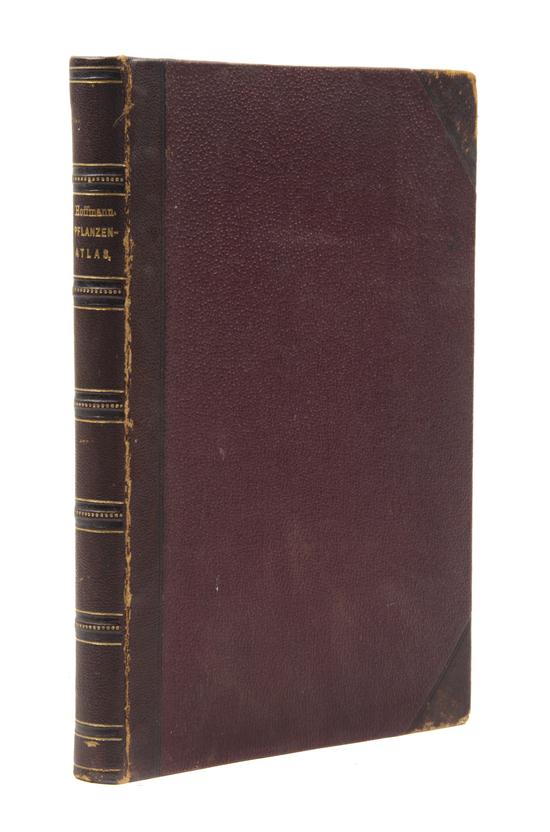 (BOTANY) HOFFMANN CARL