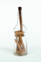 BOTTLE WHIMSEY.  William Ander