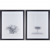 BOWEN BOSHIER, PAIR LARGE PRIN