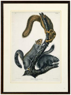 Bowen edition Audubon print,
