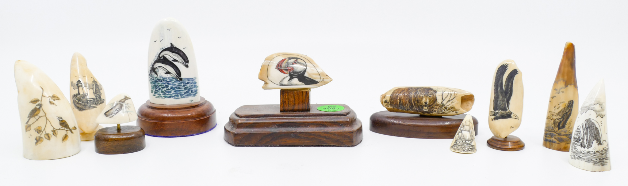 Box 10pc Scrimshawed Minaiture