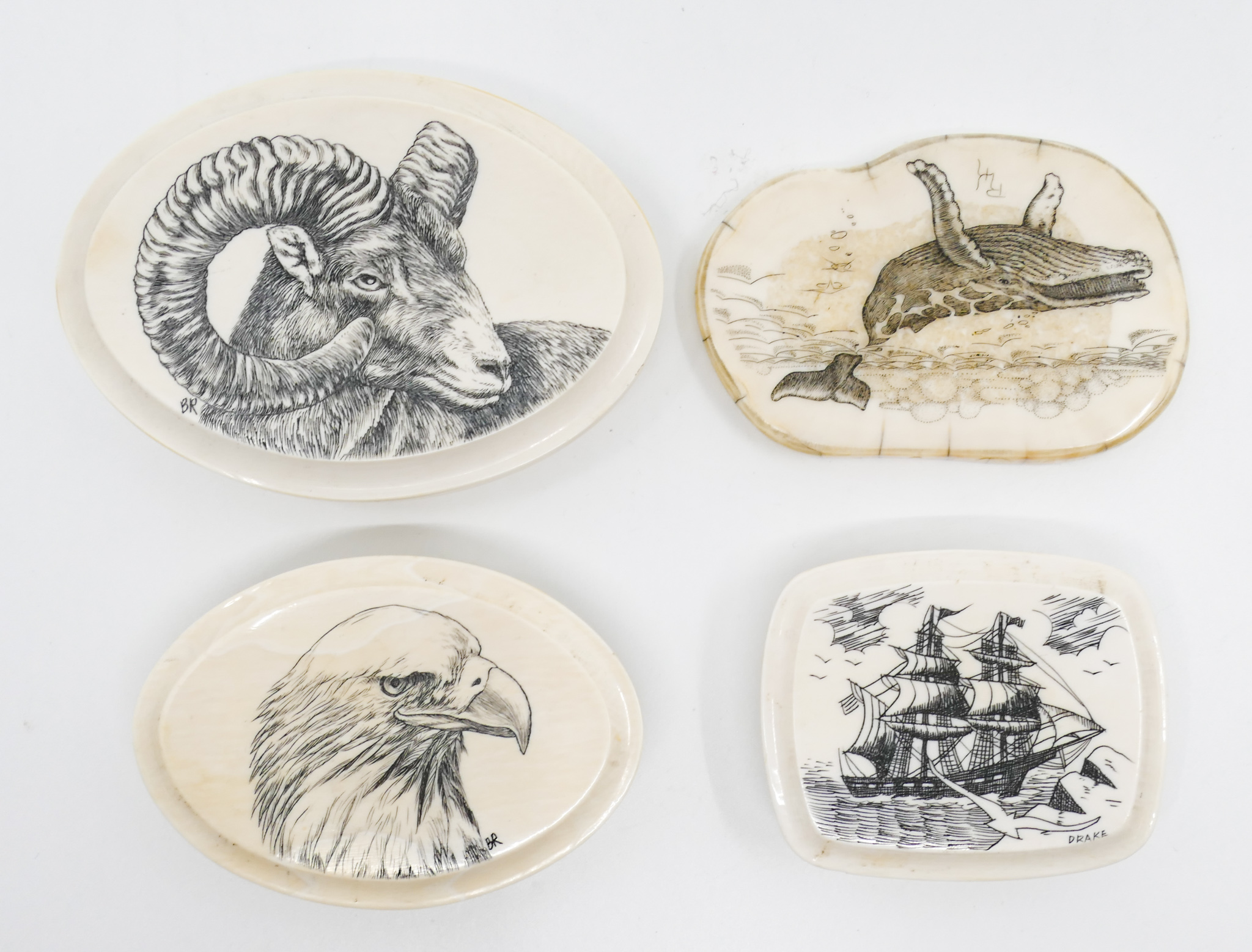 Box 4pc Alaska Scrimshawed Belt