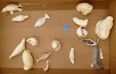 Box Inuit Scrimshawed Small Se