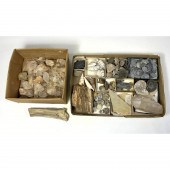 Box lot of Quartz and Fossil,