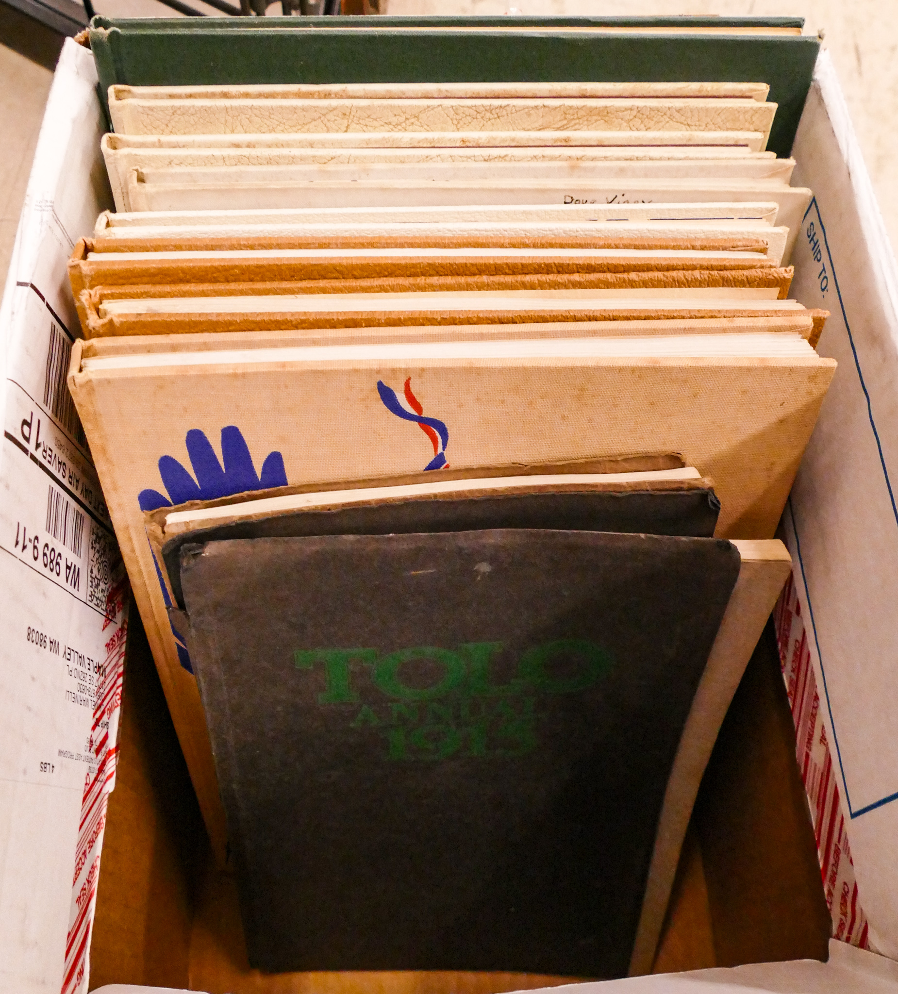 Box Old Kimtah & Tolo Annuals