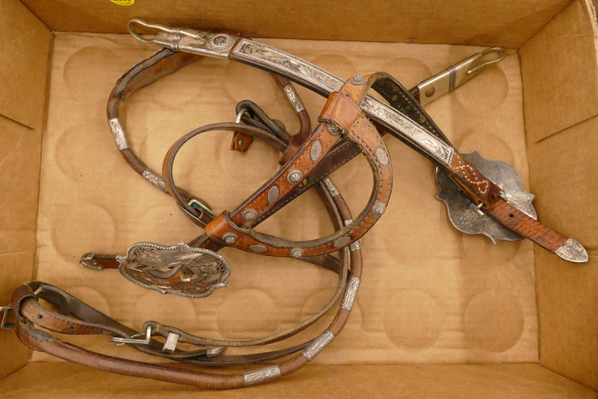 Box Silver Accented Horse Briddle