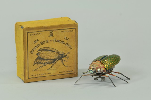 BOXED LEHMANN CRAWLING BEETLE