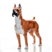BOXER HN2643 - ROYAL DOULTON D