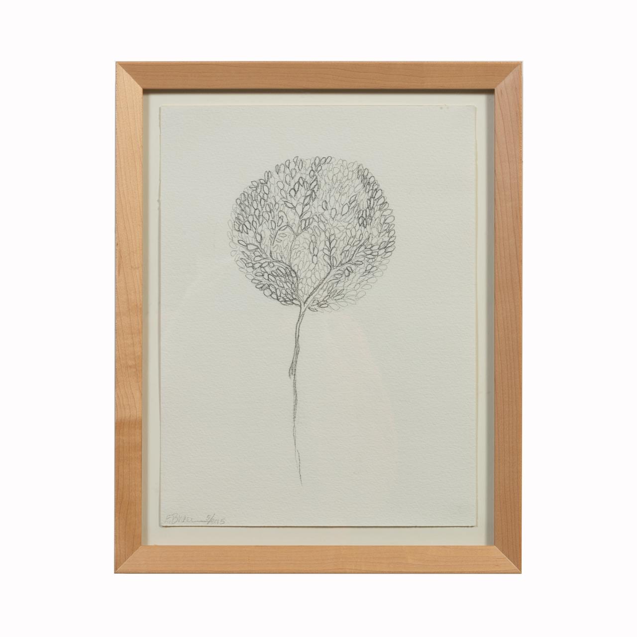 BRAER, "DANDELION" PENCIL ON PAPER,