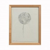 BRAER, "DANDELION" PENCIL ON P