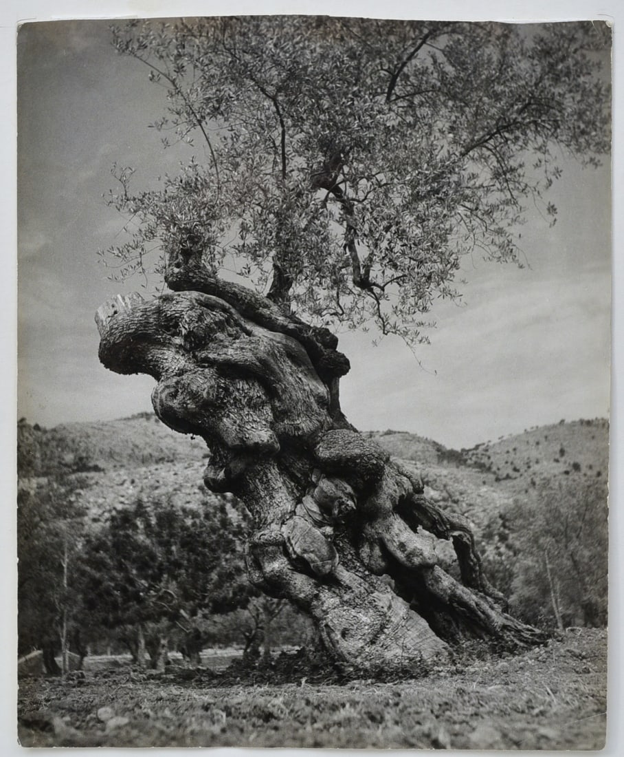 BRASSAI (FRANCE/HUNGARY,1899-1904),
