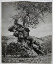 BRASSAI (FRANCE/HUNGARY,1899-1