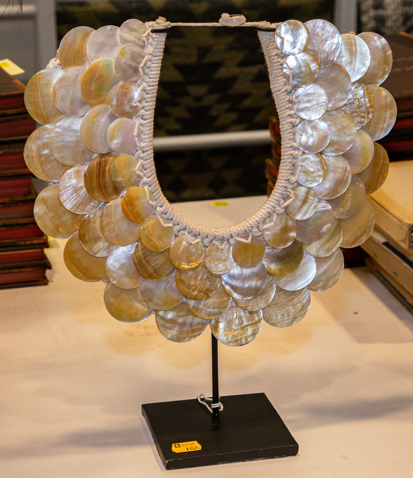 BRAZILIAN INDIGENOUS POLISHED SHELL