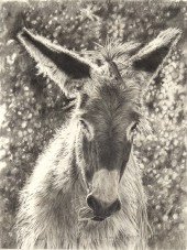 BRENDA MURPHY (1955- ), SMOOCH